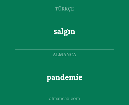 salgın - pandemie
