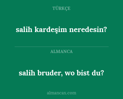 salih bruder, wo bist du? - salih kardeşim neredesin?