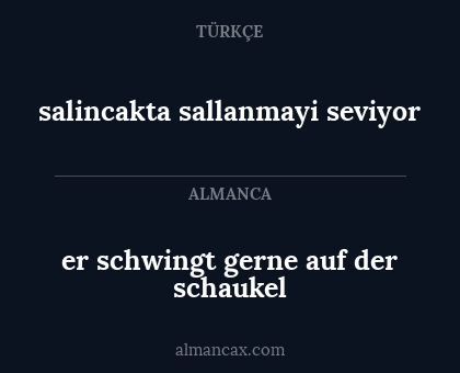 er schwingt gerne auf der schaukel - salincakta sallanmayi seviyor
