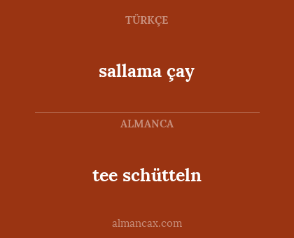 tee schütteln - sallama çay