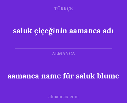 saluk çiçeğinin aamanca adı - aamanca name für saluk blume