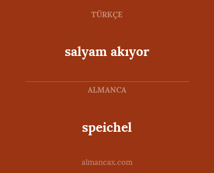 salyam akıyor - speichel