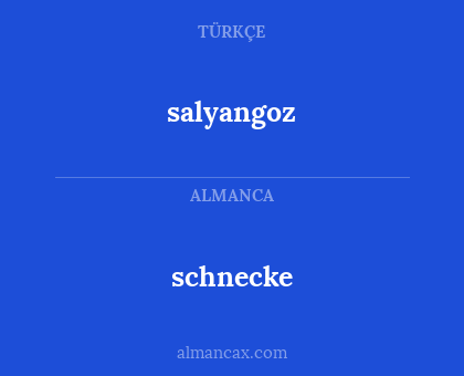 salyangoz - schnecke