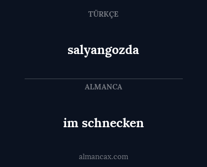 salyangozda - im schnecken