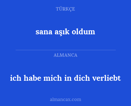 sana aşık oldum - ich habe mich in dich verliebt