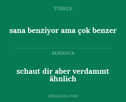 schaut dir aber verdammt ähnlich - sana benziyor ama çok benzer