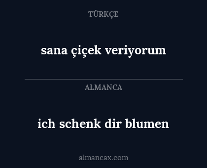 ich schenk dir blumen - sana çiçek veriyorum