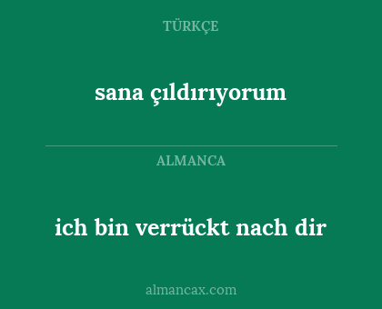 sana çıldırıyorum - ich bin verrückt nach dir