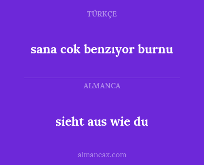 sieht aus wie du - sana cok benzıyor burnu