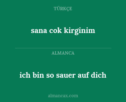 sana cok kirginim - ich bin so sauer auf dich