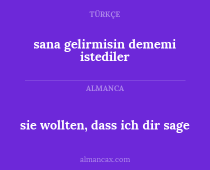 sana gelirmisin dememi istediler - sie wollten, dass ich dir sage