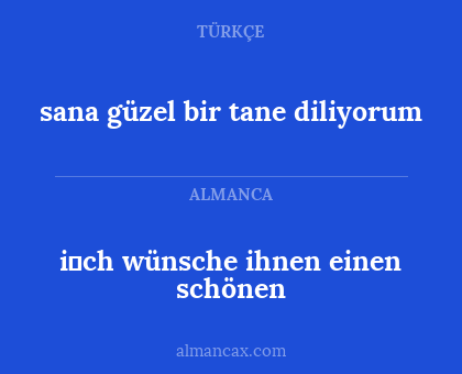 sana güzel bir tane diliyorum - i̇ch wünsche ihnen einen schönen