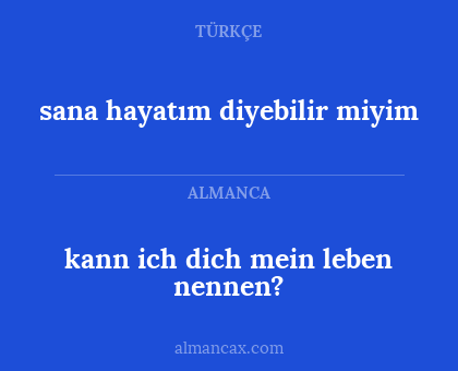 kann ich dich mein leben nennen? - sana hayatım diyebilir miyim