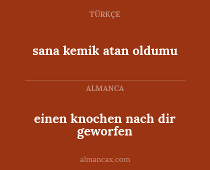 einen knochen nach dir geworfen - sana kemik atan oldumu