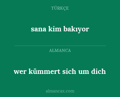 wer kümmert sich um dich - sana kim bakıyor