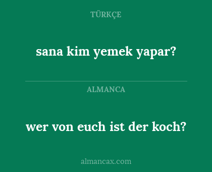 wer von euch ist der koch? - sana kim yemek yapar?