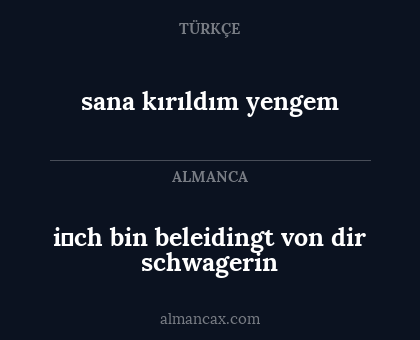 i̇ch bin beleidingt von dir schwagerin - sana kırıldım yengem