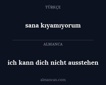 sana kıyamıyorum - ich kann dich nicht ausstehen