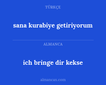 sana kurabiye getiriyorum - ich bringe dir kekse