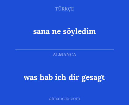 sana ne söyledim - was hab ich dir gesagt