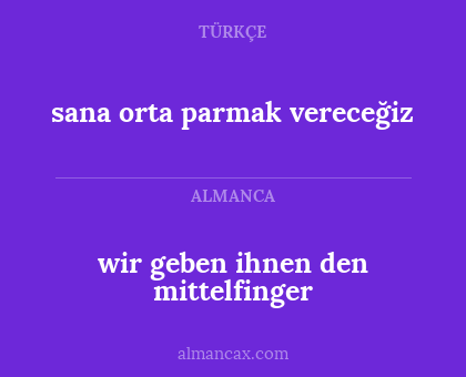 wir geben ihnen den mittelfinger - sana orta parmak vereceğiz