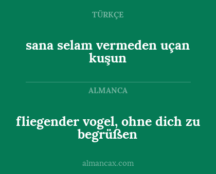 fliegender vogel, ohne dich zu begrüßen - sana selam vermeden uçan kuşun
