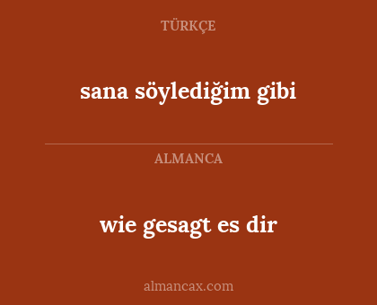 sana söylediğim gibi - wie gesagt es dir