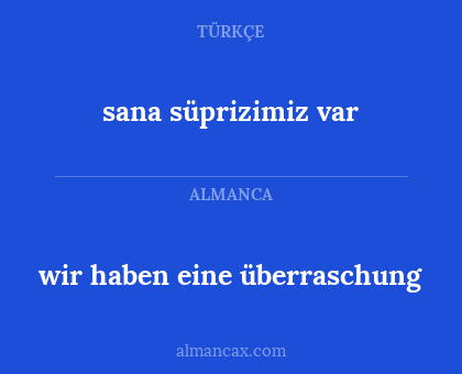 sana süprizimiz var - wir haben eine überraschung