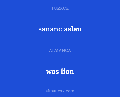 was lion - sanane aslan