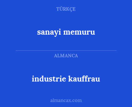 sanayi memuru - industrie kauffrau