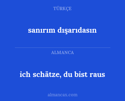 ich schätze, du bist raus - sanırım dışarıdasın