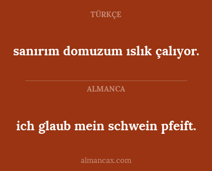 ich glaub mein schwein pfeift. - sanırım domuzum ıslık çalıyor.