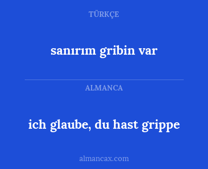 sanırım gribin var - ich glaube, du hast grippe