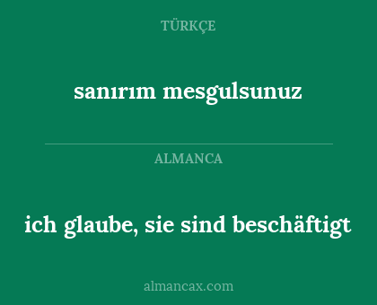 sanırım mesgulsunuz - ich glaube, sie sind beschäftigt