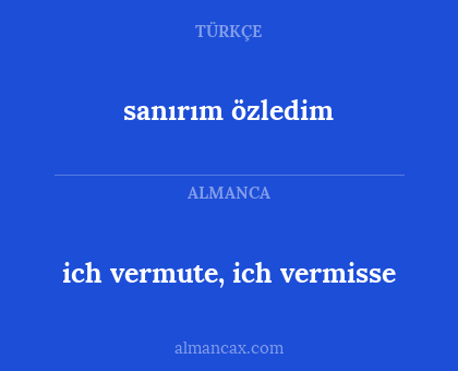 ich vermute, ich vermisse - sanırım özledim