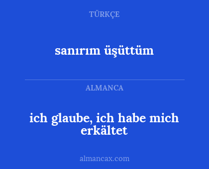 sanırım üşüttüm - ich glaube, ich habe mich erkältet