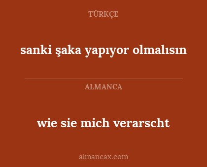 wie sie mich verarscht - sanki şaka yapıyor olmalısın