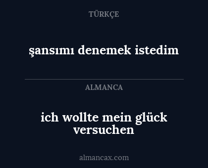 şansımı denemek istedim - ich wollte mein glück versuchen