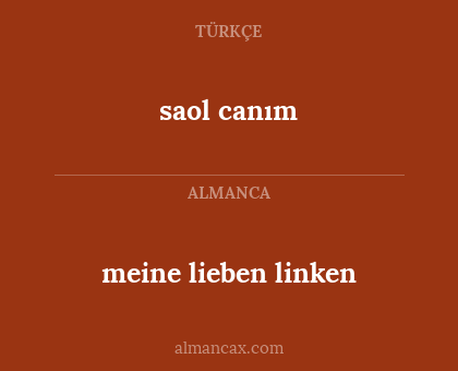 meine lieben linken - saol canım