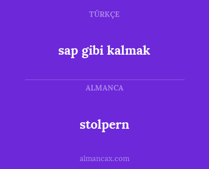 stolpern - sap gibi kalmak
