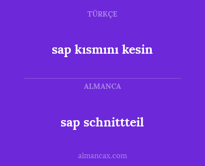 sap schnittteil - sap kısmını kesin
