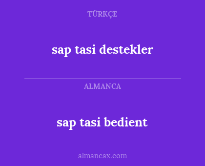 sap tasi destekler - sap tasi bedient