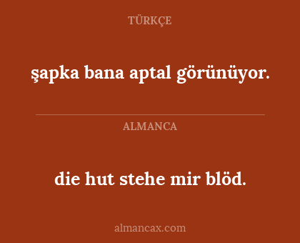 die hut stehe mir blöd. - şapka bana aptal görünüyor.