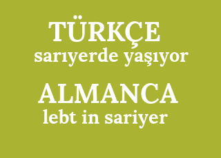 sar%C4%B1yerde+ya%C5%9F%C4%B1yor-lebt+in+sariyer.png