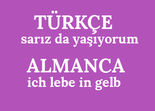 sar%C4%B1z+da+ya%C5%9F%C4%B1yorum-ich+lebe+in+gelb.png