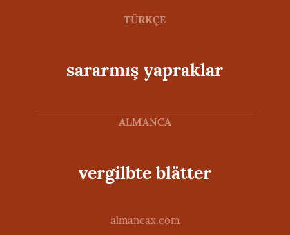vergilbte blätter - sararmış yapraklar