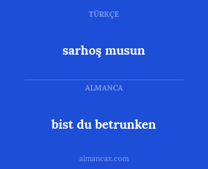 bist du betrunken - sarhoş musun