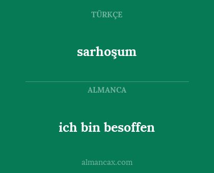 sarhoşum - ich bin besoffen