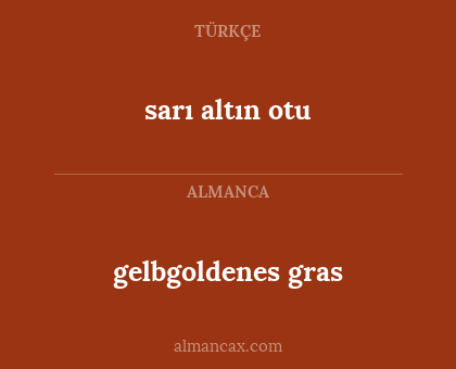 sarı altın otu - gelbgoldenes gras