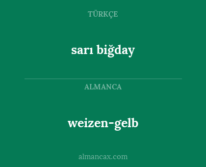 sarı biğday - weizen-gelb